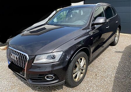 Audi Q5 3.0 TDI S tronic quattro - Leder, AHK, SHZ,