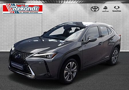 Lexus UX 300e Luxury Navi Kamera Sitzheizung Leder € 5