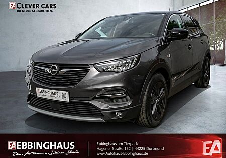 Opel Grandland X Grandland 1.2 2020 Kamera Design-Paket LED