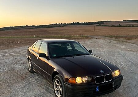 BMW 316i TÜV bis 2027 *H-Kennzeichen*