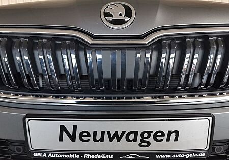 Skoda Kamiq 1.0 TSI Selection DSG *17 Zoll*Rückfahrkam