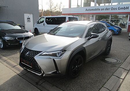 Lexus UX UX250h Style+ Edition, Kamera, SHZ, TWW, Apple