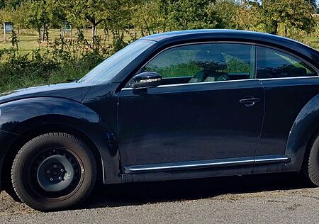 VW New Beetle Volkswagen