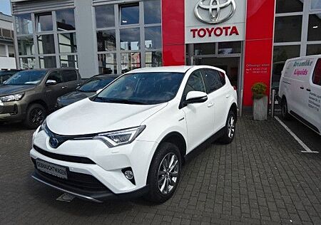 Toyota RAV 4 RAV4 2,5 Hybrid 4x2 Team D, Navi/Kam/LED/AHK