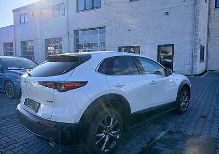 Mazda CX-3 CX-30 100th Anniversary vom Kfz Meisterbetrieb