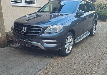 Mercedes-Benz ML 350 +VIELES NEU+