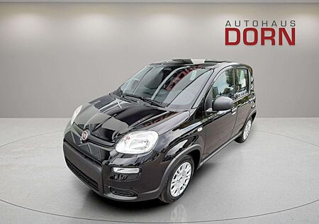 Fiat Panda 1.0 GSE Hybrid 2024 City-Paket Parksensore