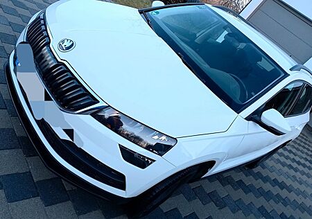 Skoda Karoq 1.0TSI, Top gepflegt