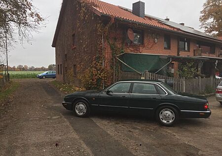 Jaguar XJ8 3.2 -Grün-günstig abzugeben-LPG
