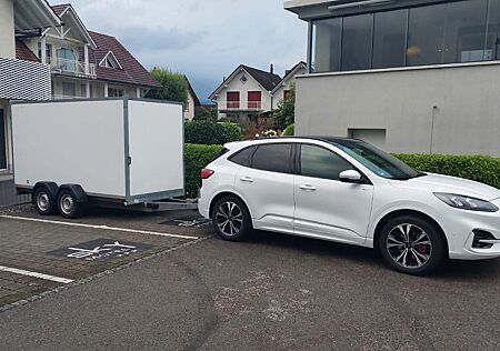 Ford Kuga 2.5 ST-Line X Hybrid (lfd. Finanzierung)