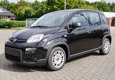 Fiat Panda 1.0 Firefly Hybrid mit CITY PAKET !!!