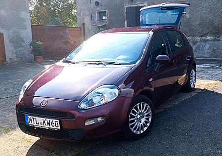 Fiat Punto gebraucht kaufen Fiat Punto 1.4 8V Start&Stopp S S