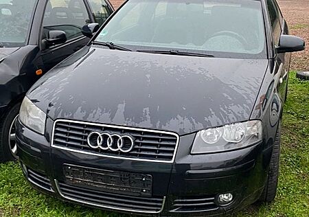 Audi A3 2.0 TDI (DPF) S line Sportpaket plus S li...