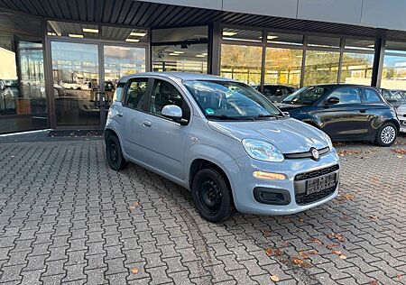 Fiat Panda gebraucht kaufen Fiat Panda