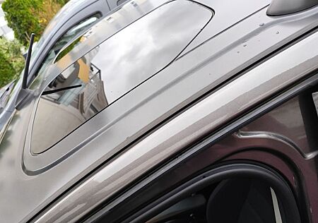 Citroën Berlingo BlueHDi Gasring Handbremse Rollstuhl