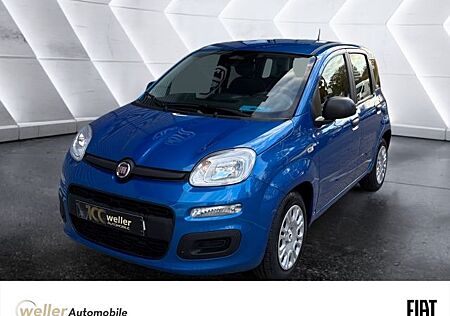 Fiat Panda gebraucht kaufen Fiat Panda 1.0 Mild-Hybrid ''Pandina'' Parksensoren K