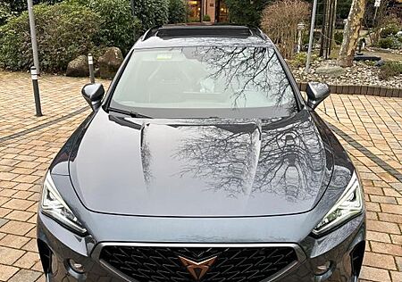 Cupra Formentor 2.0 TSI 228kW VZ 4Drive DSG VZ
