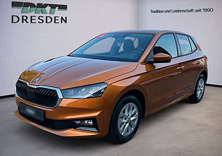 Skoda Fabia Special/DAB+/EPH/SHZ