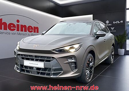 Cupra Terramar VZ 2.0 TSI 4Drive DSG ACC+AHK+LED+Navi