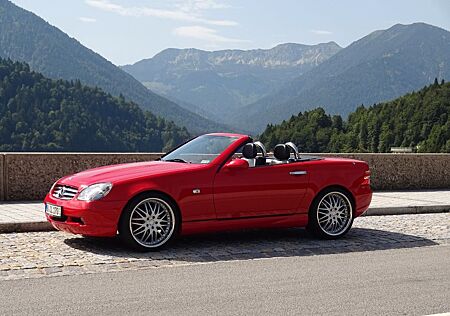 Mercedes-Benz SLK 230 Kompressor AMG-Paket&Designo-Lackierung