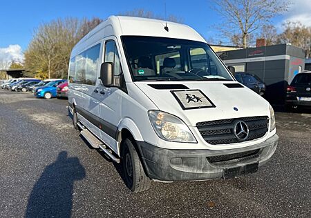 Mercedes-Benz Sprinter II Kombi 315 CDI maxi Rollstuhltranspo