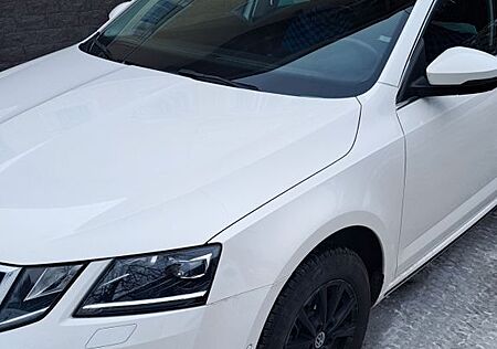 Skoda Octavia 1.6 TDI 4x4SCR Style Combi Style