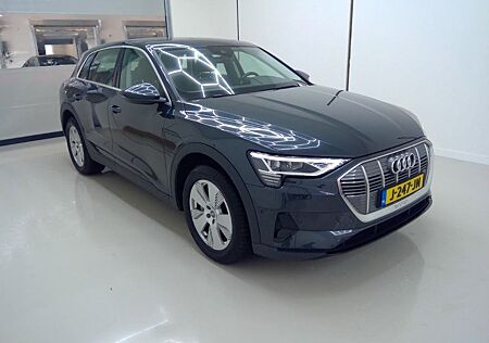 Audi e-tron 50 quattro 313 PS Top Zustand