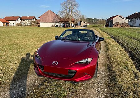 Mazda MX-5 TOP - Navi, LED, Winter- & Sommerreifen, u.v.m.
