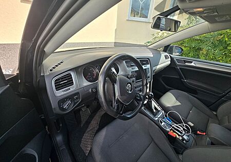 VW Golf Volkswagen 1.6 TDI Variant Diesel 81KW