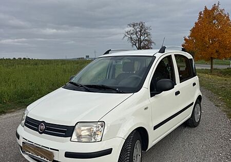 Fiat Panda gebraucht kaufen Fiat Panda 169