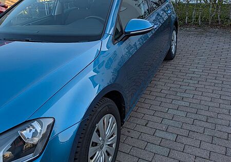VW Golf Volkswagen 1.6 TDI BMT Comfortline Variant Comfortline