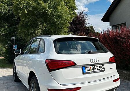Audi Q5 3.0 TDI S tronic quattro - Panorama