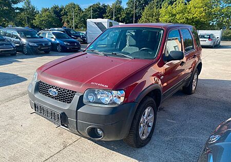 Ford Maverick Basis