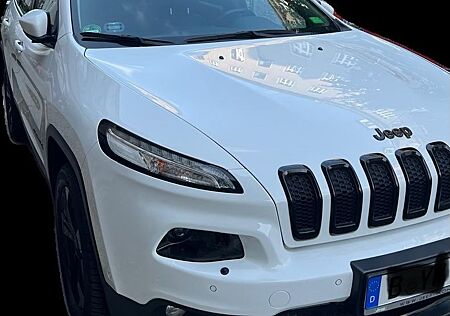 Jeep Cherokee 2.2 MultiJet 147 kW 4x4 Night Eagle...