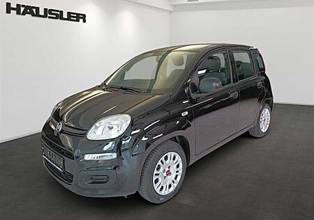 Fiat Panda 1.0 Mild Hybrid Radio Klimaanlage Citiy Mo