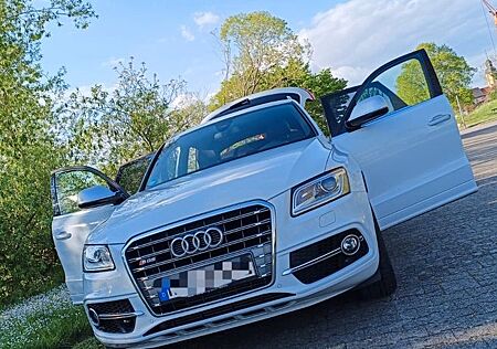Audi SQ5 3.0 TDI comp. tiptr. quattro