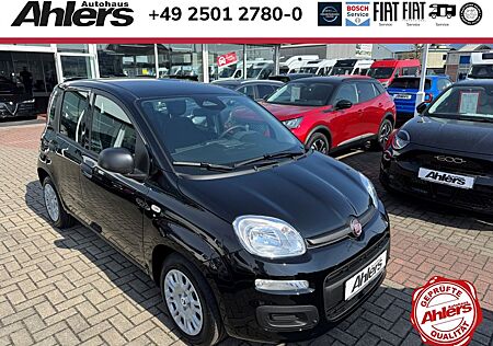 Fiat New Panda Pandina Icon+5SITZER+KLIMA+BLUETOOTH+EINPARKHILF