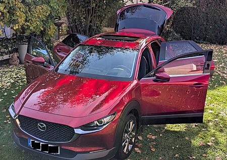 Mazda CX-30 2.0 SKYACTIV-X M-Hybrid AWD Selection ...