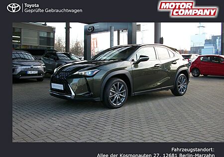 Lexus UX 250 h Style Edition