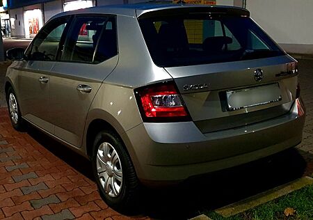 Skoda Fabia Apple Android PDC Notbremssystem Sound SHZ