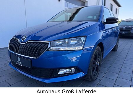 Skoda Fabia Ambition 110 PS RFK PDC SHZ