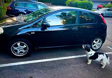 Fiat Punto 1.4 8V Dynamic Dynamic