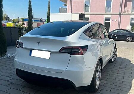 Tesla Model Y (RWD) . Standard Range. 360° Kamera .