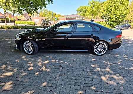 Jaguar XF 30d 300PS R-Sport Automatik x260