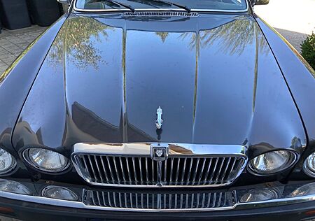 Jaguar XJ6