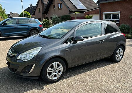 Opel Corsa 1.4 Satellite FlexFix-Fahrradträgersystem