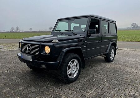 Mercedes-Benz G 500 M113 V8 Classic - Klima - Standheizung