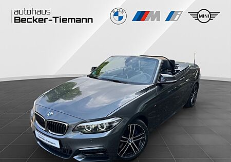 BMW 240 M240i xDrive Cabrio NaviProf/Kamera/Allrad