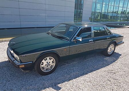 Jaguar XJ40 Daimler nur 55.000 km 2.Hand