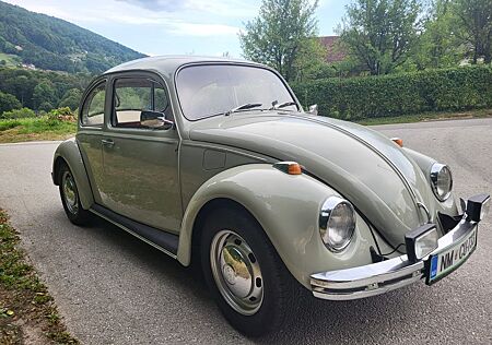 VW Beetle Volkswagen